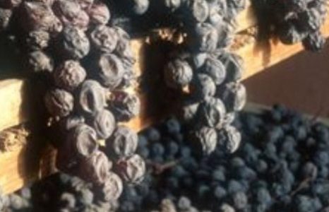 Marano terroir experience