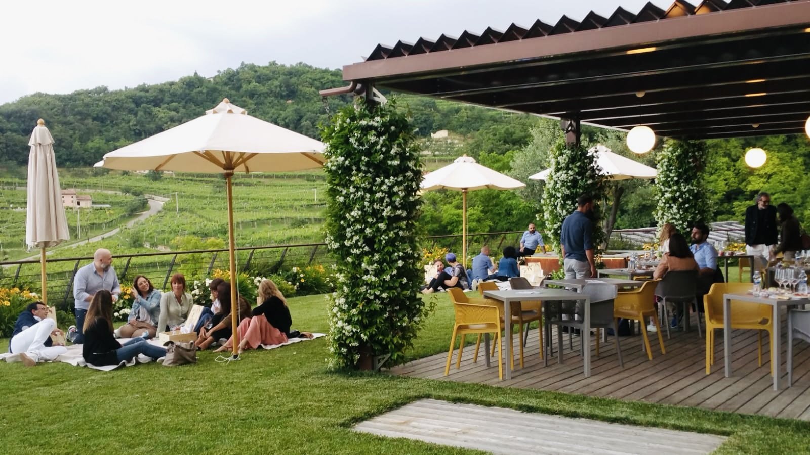 la cucina italiana degustazioni valpolicella albino armani