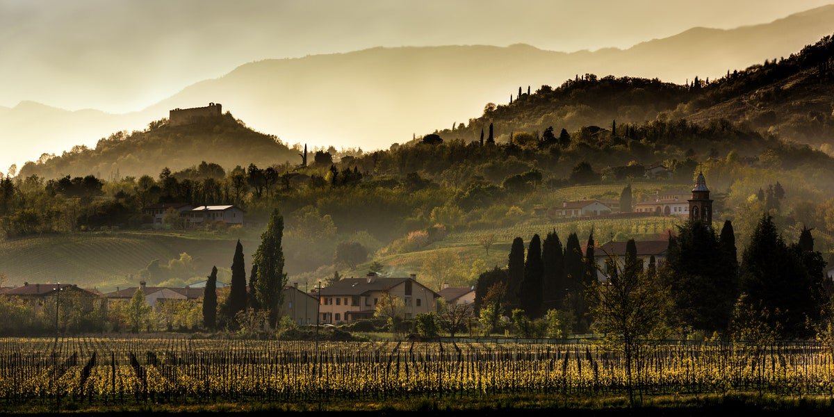 5 vini imperdibili del Veneto - la cucina italiana