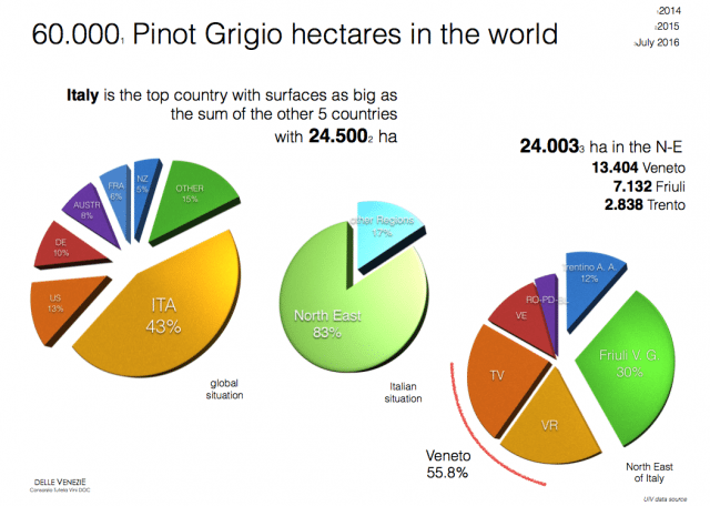 Pinot Grigio in Italy