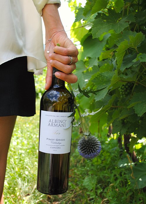 Pinot grigio Corvara Alabino Armani su vinepair