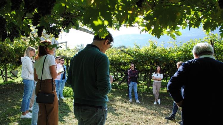 Albino Armani con i blogger del vino L Arena di Verona