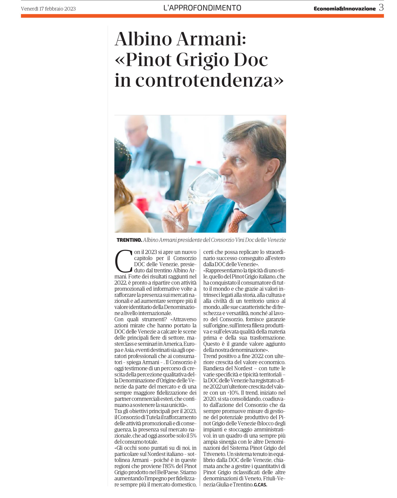 Pinot grigio in controtendenza articolo 
