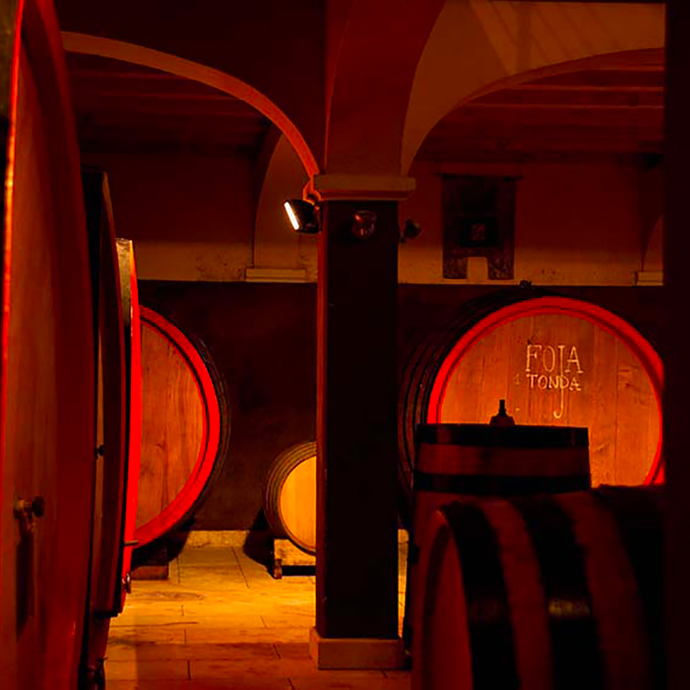 Intervista ad Albino Armani su Best Wine Stars