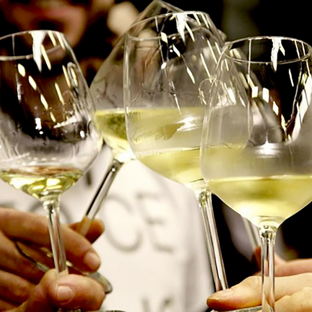 Pinot Grigio albino Armani USA