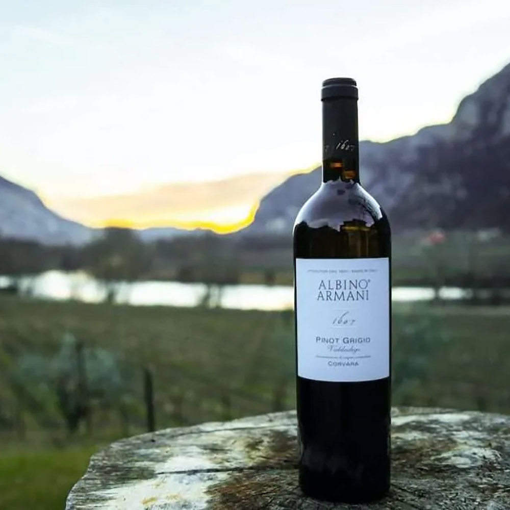 Verticale Pinot Grigio Albino Armani