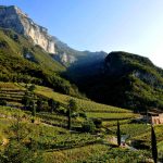 Il Monte Baldo trentino: un dialogo tra viticoltura e paesaggio di montagna